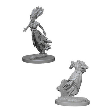 Dungeons & Dragons Nolzur`s Marvelous Unpainted Miniatures:  W1 - Ghost & Banshee
