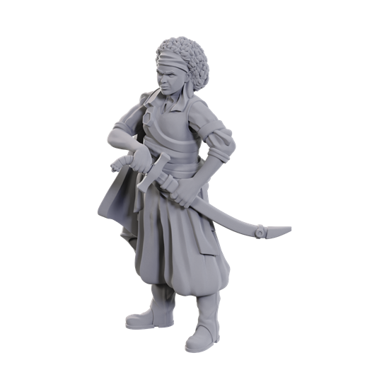 D&D: Nolzur's Marvelous Miniatures: Ansalon Human Rogue
