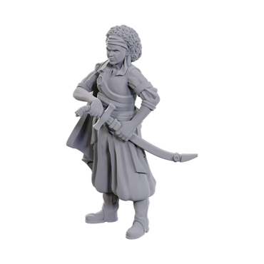D&D: Nolzur's Marvelous Miniatures: Ansalon Human Rogue
