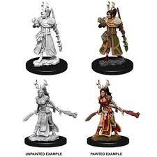 Dungeons & Dragons Nolzur`s Marvelous Unpainted Miniatures: W1 Human Druid