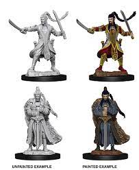 Dungeons & Dragons Nolzur`s Marvelous Unpainted Miniatures:  W13 Elf Paladin