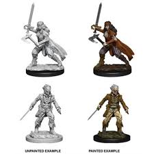 Dungeons & Dragons Nolzur`s Marvelous Unpainted Miniatures:  W1 Vampire hunters