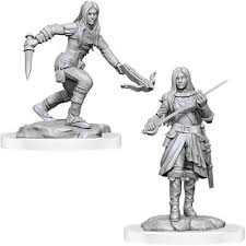 Dungeons & Dragons Nolzur`s Marvelous Unpainted Miniatures:  W17 Half-Elf Rogue