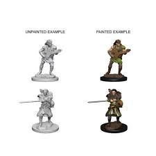 Dungeons & Dragons Nolzur`s Marvelous Unpainted Miniatures:  W1 Human Bard