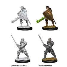 Dungeons & Dragons Nolzur`s Marvelous Unpainted Miniatures:  W1 M-Human Fighter
