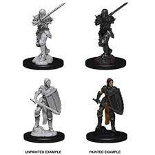 Dungeons & Dragons Nolzur`s Marvelous Unpainted Miniatures:  W1 -Human Fighter