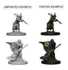 Dungeons & Dragons Nolzur`s Marvelous Unpainted Miniatures: W1 Elf Druid