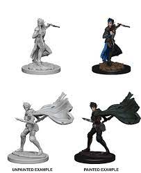 Pathfinder Deep Cuts Unpainted Miniatures: W1 Fem Elf Rogue