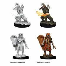 Dungeons & Dragons Nolzur`s Marvelous Unpainted Miniatures: W1 Human Druid
