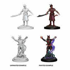 Dungeons & Dragons Nolzur`s Marvelous Unpainted Miniatures: W1 Tiefling Warlock