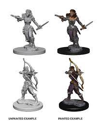 Dungeons & Dragons Nolzur`s Marvelous Unpainted Miniatures: W1 Elf Sorcerers