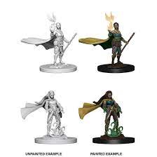 Dungeons & Dragons Nolzur`s Marvelous Unpainted Miniatures: W1 Elf Druid