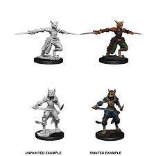 Dungeons & Dragons Nolzur`s Marvelous Unpainted Miniatures: W1 Tabaxi Rogue