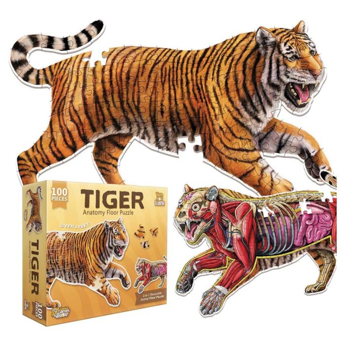 Puzzle: Animal Anatomy: Floor Puzzle: Tiger 100pc