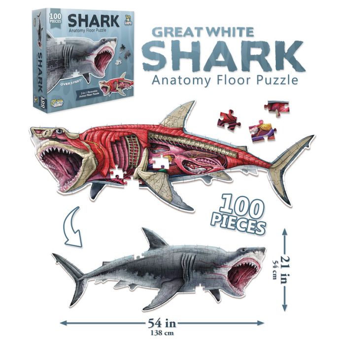 Puzzle: Animal Anatomy: Floor Puzzle: Shark 100pc