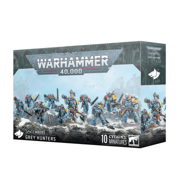 Space Wolves:  Grey Hunters