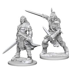 Dungeons & Dragons Nolzur`s Marvelous Unpainted Miniatures:  W1 Human Fighter