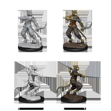 Dungeons & Dragons Nolzur`s Marvelous Unpainted Miniatures: W1 Tabaxi Rogue