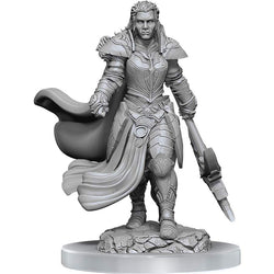 DUNGEONS AND DRAGONS NOLZUR'S MARVELOUS MINIATURES: W20 FEMALE ORC FIGHTER
