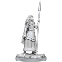 Dungeons & Dragons Nolzur`s Marvelous Unpainted Miniatures:  Brigante Celts