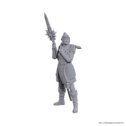 Dungeons & Dragons Nolzur`s Marvelous Unpainted Miniatures: Baldur's Gate Lae'zel-Shadowheart