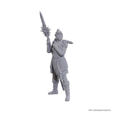 Dungeons & Dragons Nolzur`s Marvelous Unpainted Miniatures: Baldur's Gate Lae'zel-Shadowheart