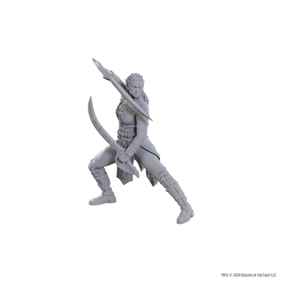 Dungeons & Dragons Nolzur`s Marvelous Unpainted Miniatures: Baldur's Gate Jaheria-Halsin