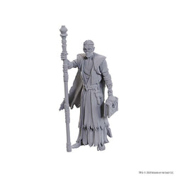 Dungeons & Dragons Nolzur`s Marvelous Unpainted Miniatures: Baldur's Gate Volo-Withers