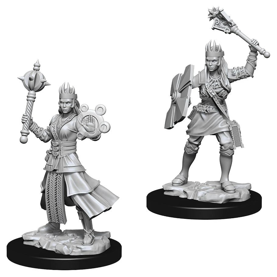 D&D: Nolzur's Marvelous Miniatures: Human Cleric