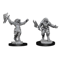 Dungeons & Dragons Nolzur`s Marvelous Unpainted Miniatures: W11 Female Dragonborn Fighter