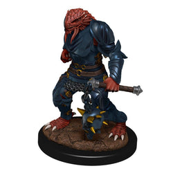 Dungeons & Dragons Nolzur`s Marvelous Unpainted Miniatures: W11 Male Dragonborn Paladin