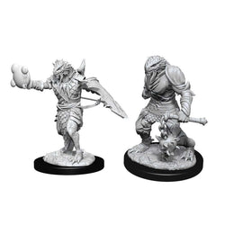 Dungeons & Dragons Nolzur`s Marvelous Unpainted Miniatures: W11 Male Dragonborn Paladin