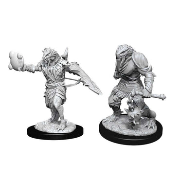 Dungeons & Dragons Nolzur`s Marvelous Unpainted Miniatures: W11 Male Dragonborn Paladin