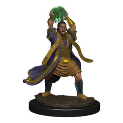Dungeons & Dragons Nolzur`s Marvelous Unpainted Miniatures: W11 Male Elf Sorcerer