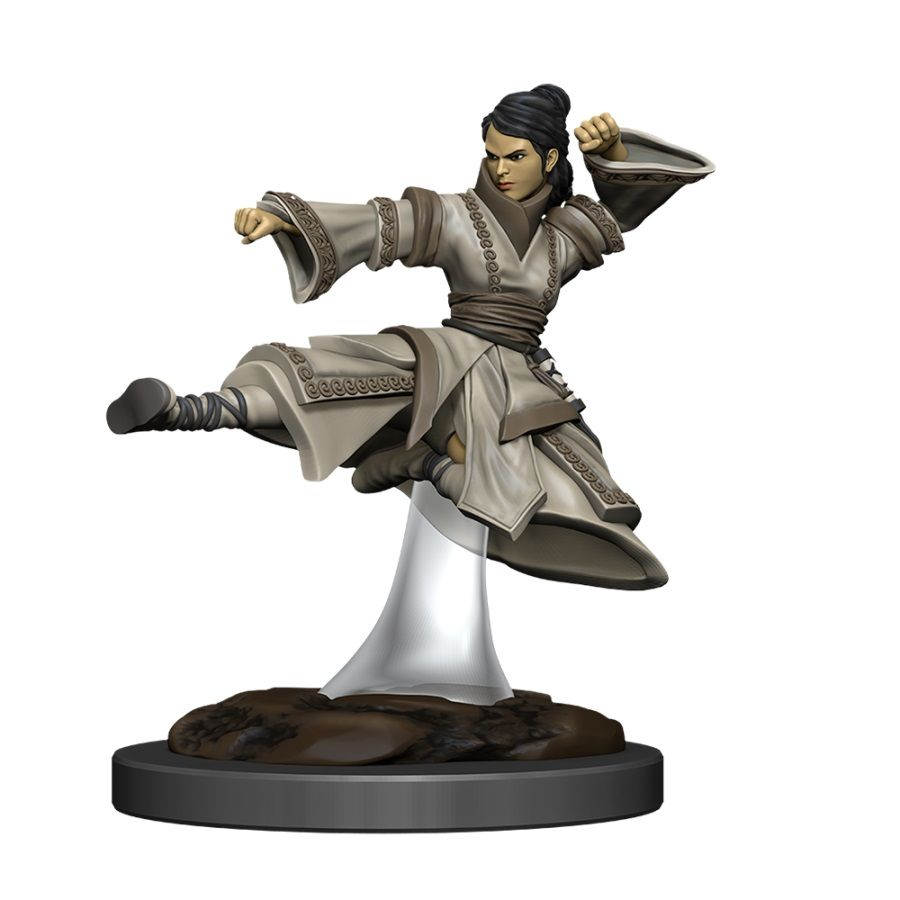 Dungeons & Dragons Nolzur`s Marvelous Unpainted Miniatures: W11 Female Human Monk