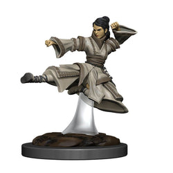 Dungeons & Dragons Nolzur`s Marvelous Unpainted Miniatures: W11 Female Human Monk