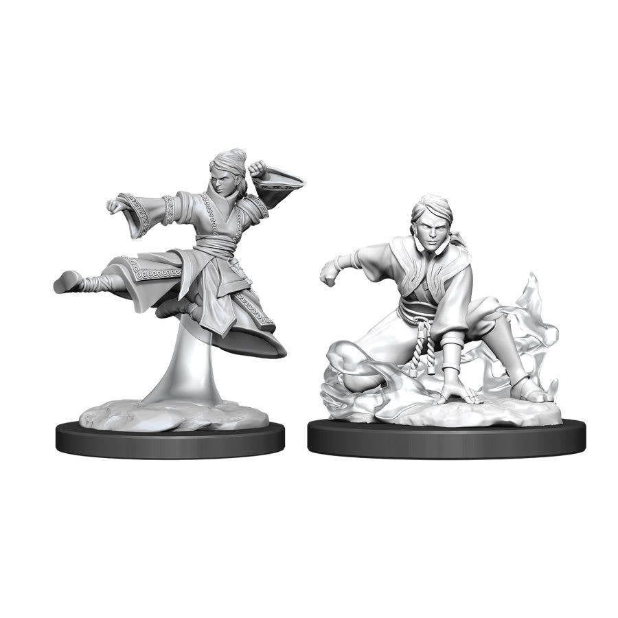 Dungeons & Dragons Nolzur`s Marvelous Unpainted Miniatures: W11 Female Human Monk