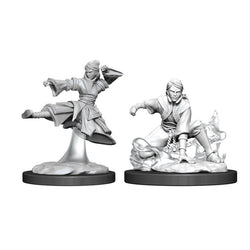Dungeons & Dragons Nolzur`s Marvelous Unpainted Miniatures: W11 Female Human Monk