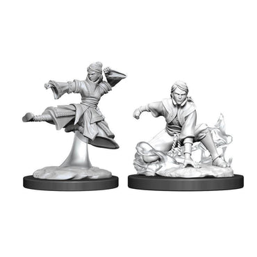 Dungeons & Dragons Nolzur`s Marvelous Unpainted Miniatures: W11 Female Human Monk