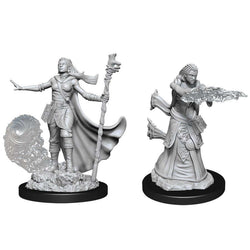 Dungeons & Dragons Nolzur`s Marvelous Unpainted Miniatures: W11 Female Human Wizard