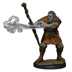 Dungeons & Dragons Nolzur`s Marvelous Unpainted Miniatures: W11 Male Firbolg Druid