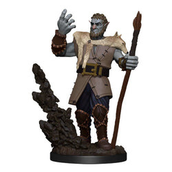 Dungeons & Dragons Nolzur`s Marvelous Unpainted Miniatures: W11 Male Firbolg Druid