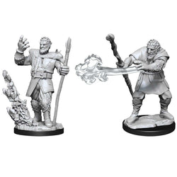 Dungeons & Dragons Nolzur`s Marvelous Unpainted Miniatures: W11 Male Firbolg Druid