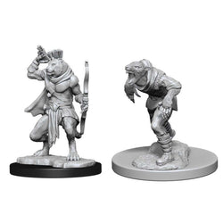 Dungeons & Dragons Nolzur`s Marvelous Unpainted Miniatures: W11 Wererat & Weretiger