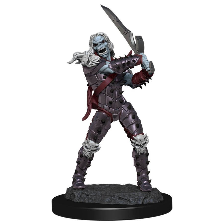 Dungeons & Dragons Nolzur`s Marvelous Unpainted Miniatures: W11 Wight & Ghast