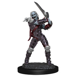 Dungeons & Dragons Nolzur`s Marvelous Unpainted Miniatures: W11 Wight & Ghast