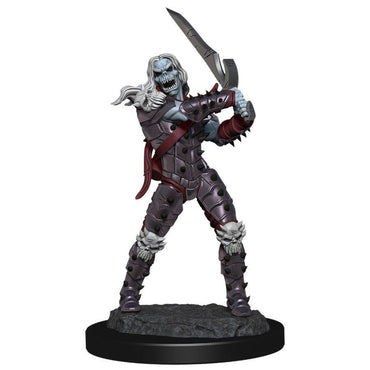 Dungeons & Dragons Nolzur`s Marvelous Unpainted Miniatures: W11 Wight & Ghast