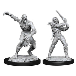 Dungeons & Dragons Nolzur`s Marvelous Unpainted Miniatures: W11 Wight & Ghast