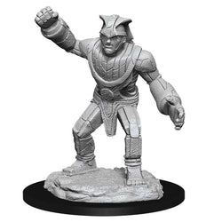 Dungeons & Dragons Nolzur`s Marvelous Unpainted Miniatures: W11 Stone Golem