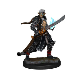 Pathfinder Deep Cuts Unpainted Miniatures: W11 Male Elf Magus (Magic User)